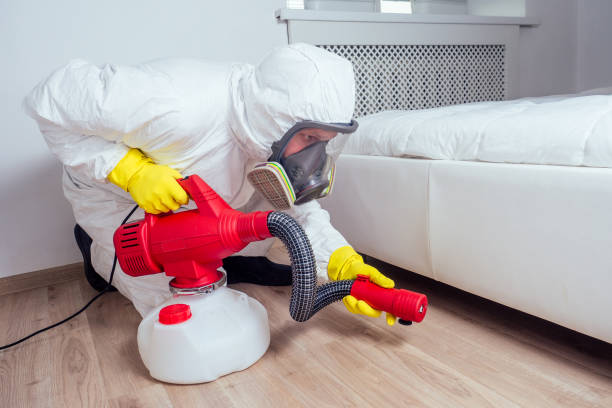 Flea Control Services in Bonita Springs, FL