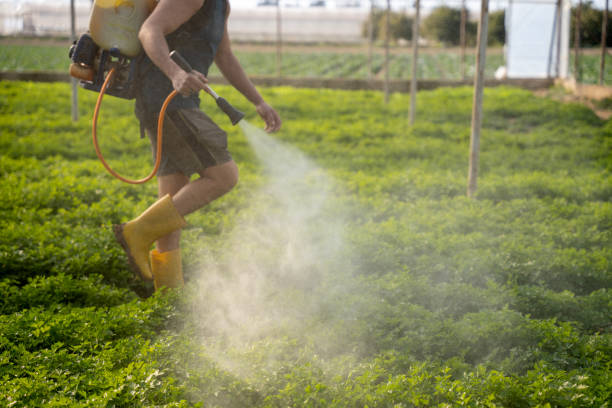 Best Local Pest Control Services  in Bonita Springs, FL