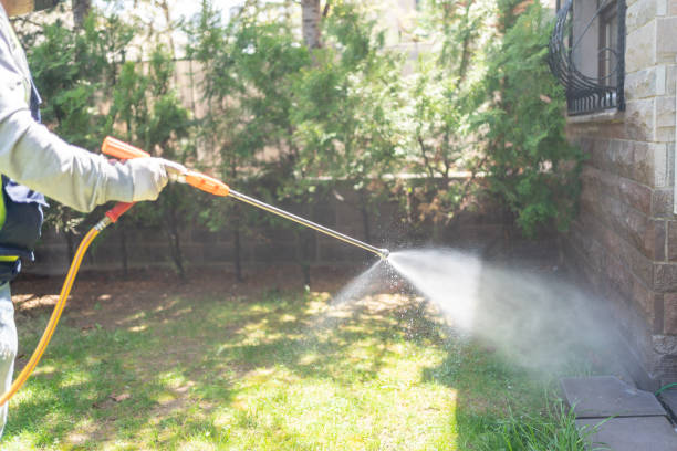 Best Spider Control Near Me  in Bonita Springs, FL