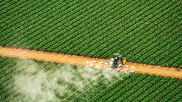 Reliable Bonita Springs, FL Pest Control Solutions