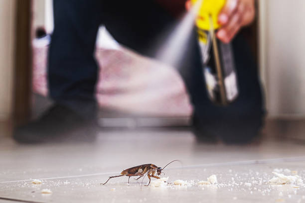 Best Exterminator Services  in Bonita Springs, FL