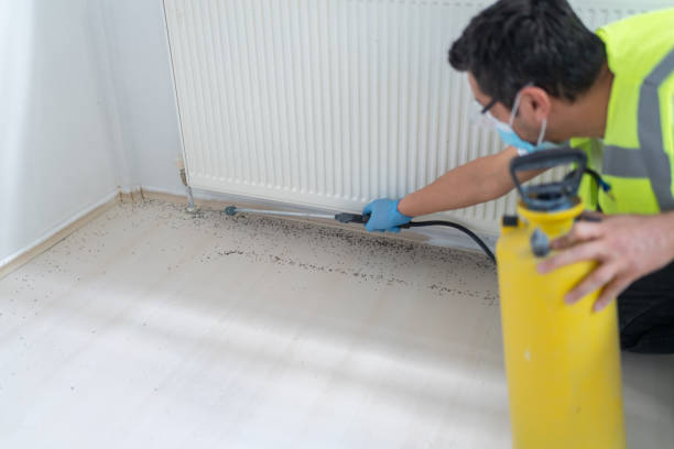 Best Pest Control Near Me in Bonita Springs, FL